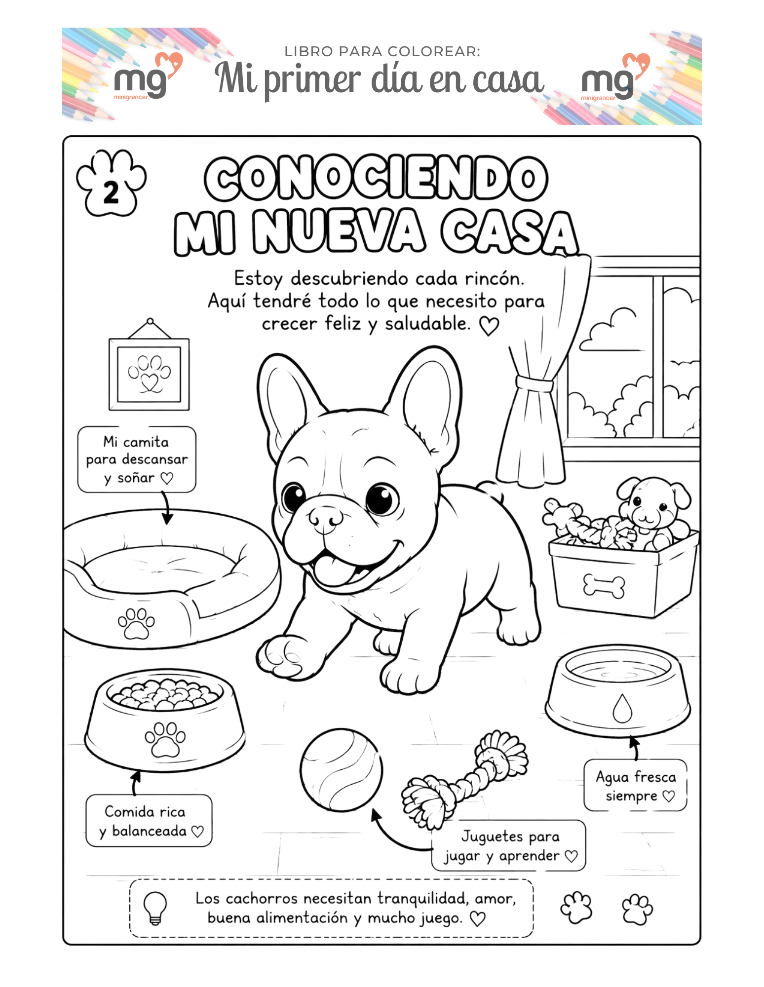 Mi nueva casa
